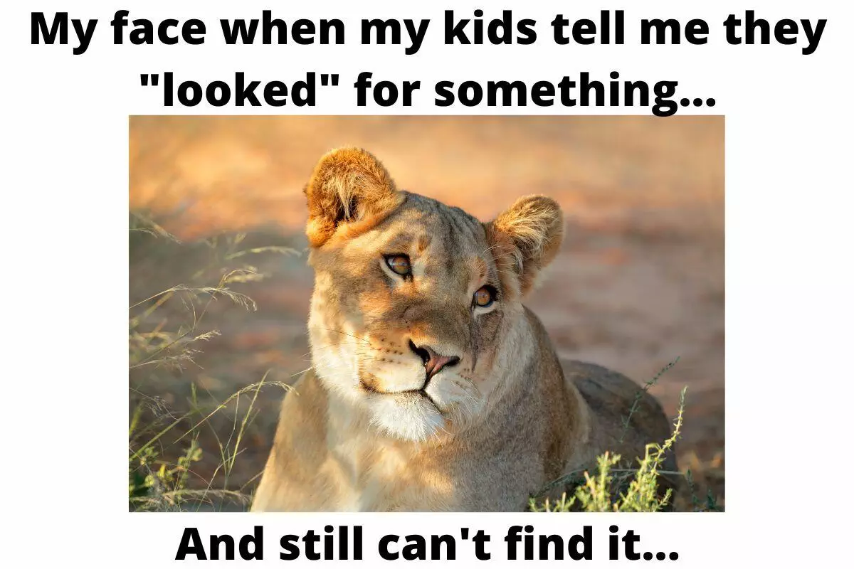 10 Funny Memes Every Stay At Home Mom Can Relate To :)