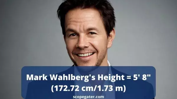 How Tall Is Mark Wahlberg - Mark Wahlberg Height and weight - Mark Wahlberg weight