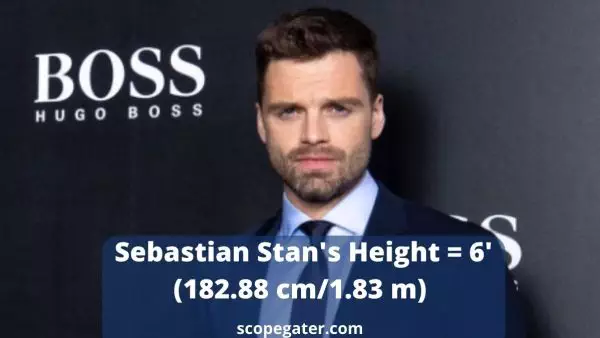 How Tall Is Sebastian Stan - Sebastian Stan Height