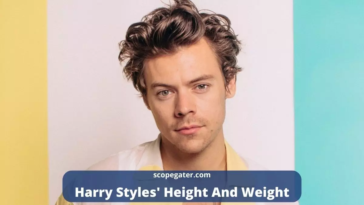 Get To Know Harry Styles Height And Weight Here