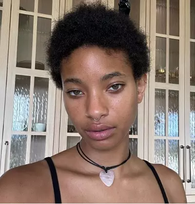 Willow Smith eye color, What is Willow Smith eye color, Willow Smith hazel eye color